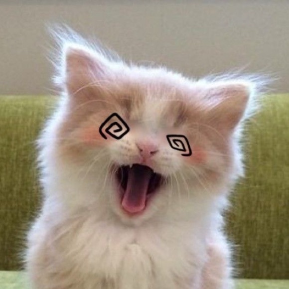 Meet your Posher, Natalia - Picture 1 of 1